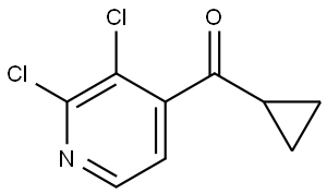 cyclopropyl(2,3-dichloropyridin-4-yl)methanone,2354073-26-8,结构式