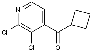 cyclobutyl(2,3-dichloropyridin-4-yl)methanone 结构式