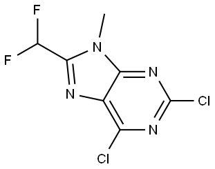 2,6-dichloro-8-(difluoromethyl)-9-methyl-9H-purine Struktur