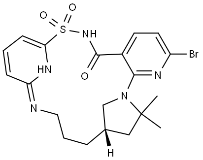 INDEX NAME NOT YET ASSIGNED Structure