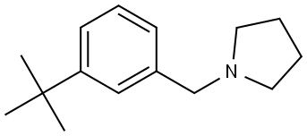 1-[[3-(1,1-Dimethylethyl)phenyl]methyl]pyrrolidine 结构式