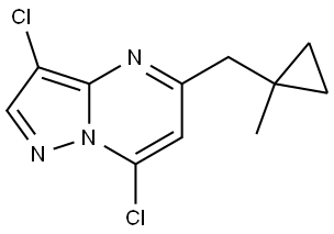 3,7-二氯-5-((1-甲基环丙基)甲基)吡唑并[1,5-A]嘧啶, 2805996-66-9, 结构式