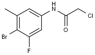 N-(4-Bromo-3-fluoro-5-methylphenyl)-2-chloroacetamide 结构式