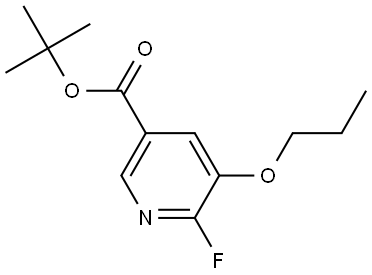 tert-butyl 6-fluoro-5-propoxynicotinate 结构式