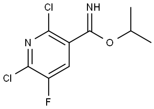 isopropyl 2,6-dichloro-5-fluoro-pyridine-3-carboximidate Structure