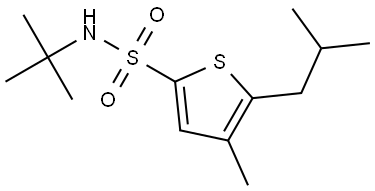 2-Thiophenesulfonamide, N-(1,1-dimethylethyl)-4-methyl-5-(2-methylpropyl)- Structure