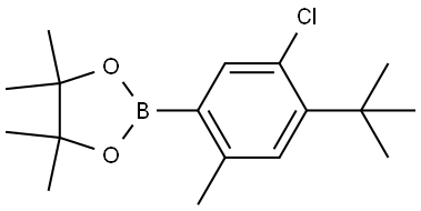 1,3,2-二噁硼烷,2-[5-氯-4-(1,1-二甲基乙基)-2-甲基苯基]-4,4,5,5-四甲基-,3002074-79-2,结构式