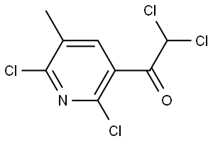 2,2-dichloro-1-(2,6-dichloro-5-methylpyridin-3-yl)ethanone Structure