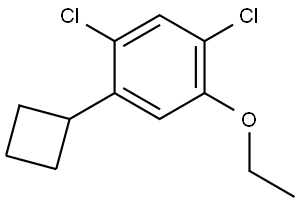 1,5-dichloro-2-cyclobutyl-4-ethoxybenzene 化学構造式