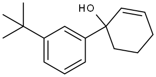 3'-(tert-butyl)-1,2,3,4-tetrahydro-[1,1'-biphenyl]-1-ol 结构式