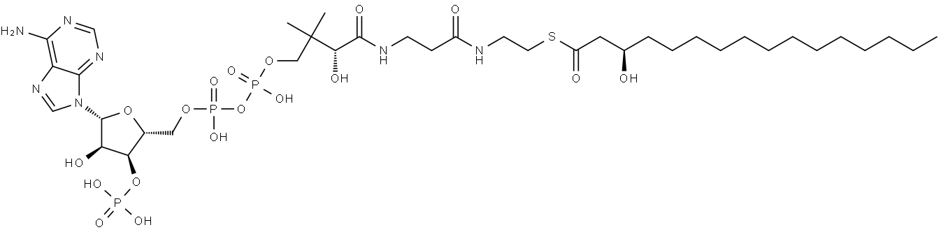 Coenzyme A, S-[(3R)-3-hydroxyhexadecanoate] Structure