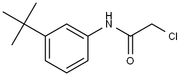 2-Chloro-N-[3-(1,1-dimethylethyl)phenyl]acetamide,630120-61-5,结构式