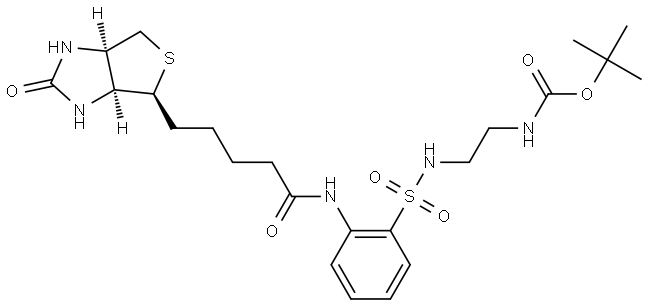 (2-{2-[5-((3aR,6S,6aS)-2-Oxo-hexahydro-thieno[3,4-d]imidazol-6-yl)-pentanoylamino]-benzenesulfonylamino}-ethyl)-carbamic acid tert-butyl ester 化学構造式