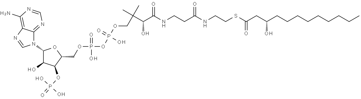 Coenzyme A, S-[(3R)-3-hydroxydodecanoate] Structure