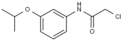 2-Chloro-N-[3-(1-methylethoxy)phenyl]acetamide 结构式