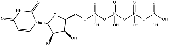 uridine 5'-tetraphosphate