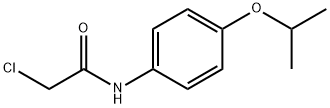 100129-54-2 2-クロロ-N-(4-イソプロポキシフェニル)アセトアミド