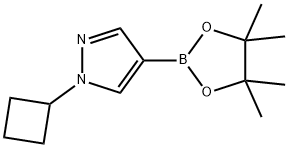 N-环丁基-吡唑-4-频哪醇二硼酸酯,1002309-48-9,结构式