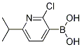 2-氯-6-异丙基吡啶-3-硼酸 结构式