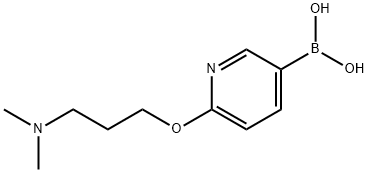 6-(3-N,N-DiMethylaMino-propoxy)pyridine-3-boronic acid Struktur