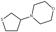 4-tetrahydrothiophen-3-yl-Morpholine 结构式
