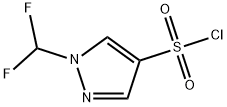 1006320-00-8 1-(二氟甲基)-4-吡唑磺酰氯