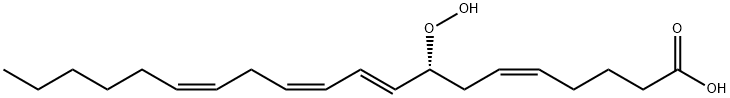 8-hydroperoxyeicosatetraenoic acid Structure