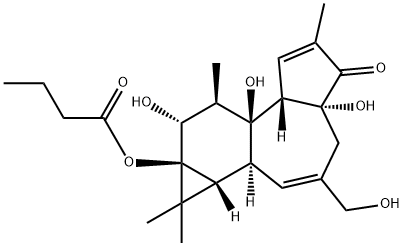 PHORBOL 13-BUTYRATE, 4BETA,100929-94-0,结构式