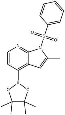 1H-PYRROLO[2,3-B]PYRIDINE, 2-METHYL-1-(PHENYLSULFONYL)-4-(4,4,5,5-TETRAMETHYL-1,3,2-DIOXABOROLAN-2-YL)- Structure