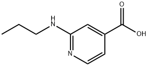 1019127-04-8 2-(Propylamino)isonicotinic acid