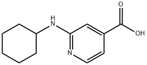 2-(Cyclohexylamino)isonicotinic acid Struktur