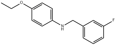 4-乙氧基-N-(4-氟苄基)苯胺, 1019617-42-5, 结构式