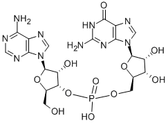ADENYLYL-(3′-5′)-구아노신