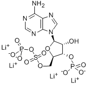 ADENOSINE 3'-PHOSPHATE 5'-PHOSPHOSULFATE, TETRALITHIUM SALT