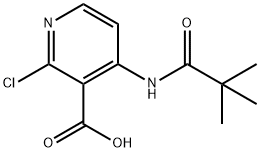 2-CHLORO-4-PIVALAMIDONICOTINIC ACID