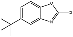 5-TERT-ブチル-2-クロロ-1,3-ベンズオキサゾール 化学構造式