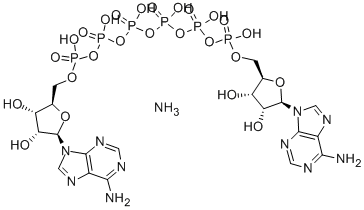 A[5']P6[5']A AMMONIUM SALT 结构式