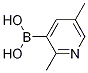 2,5-Dimethylpyridin-3-ylboronic acid|2,5-二甲基吡啶-3-硼酸