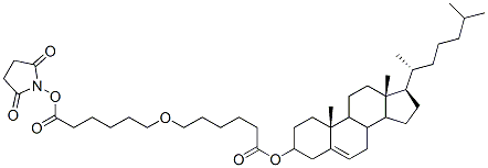 cholesteryl 5-carboxypentyl ether N-hydroxysuccinimide ester|