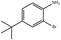 2-Bromo-4-tert-butylaniline