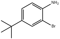 2-Bromo-4-tert-butylaniline|2-溴-4-叔丁基苯胺