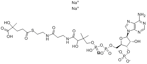 103476-21-7 DL-3-ヒドロキシ-3-メチルグルタリルコエンザイムA ナトリウム塩 水和物 FROM BOVINE TESTES