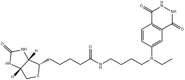 aminobutylethylisoluminol-biotin|