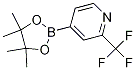 4-(tetraMethyl-1,3,2-dioxaborolan-2-yl)-2-(trifluoroMethyl)pyridine 结构式