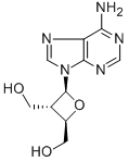 9-[(2R)-3α,4β-ジ(ヒドロキシメチル)オキセタン-2β-イル]-6-アミノ-9H-プリン 化学構造式