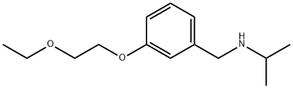 N-[3-(2-Ethoxyethoxy)benzyl]-2-propanamine Struktur