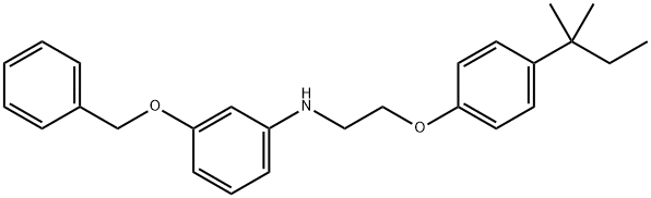 3-(Benzyloxy)-N-{2-[4-(tert-pentyl)phenoxy]-ethyl}aniline Structure