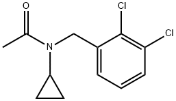 AcetaMide, N-cyclopropyl-N-[(2,3-dichlorophenyl)Methyl]- Structure