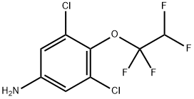 3,5-Dichloro-4-(1,1,2,2-tetrafluoroethoxy)aniline