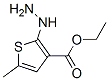 3-Thiophenecarboxylicacid,2-hydrazino-5-methyl-,ethylester(9CI) Struktur